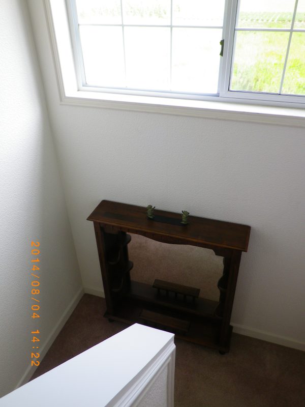 好き嫌いとアレルギー