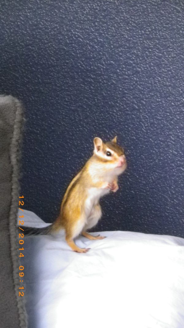 台所　大ざっぱな棚