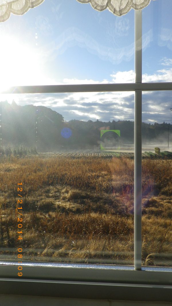 誰もがあっと驚く　　マメ