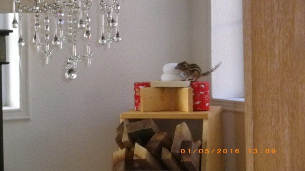 外階段　１段目　木枠