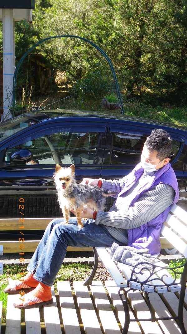 デッキのまたまたの張り替え張り直し