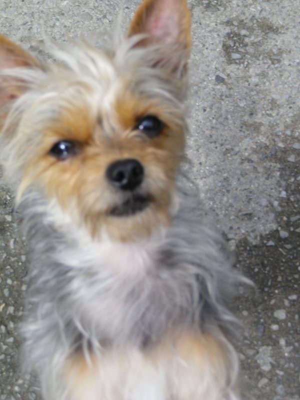 外階段　デザインとタイルの準備