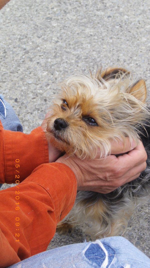 外階段　タイル貼り　3段目　左側