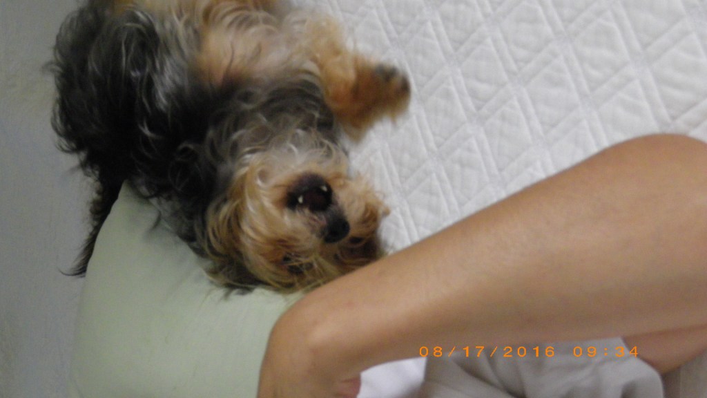 クーラー効いてぬっくぬく