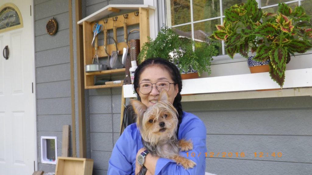 しばし穏やかな日