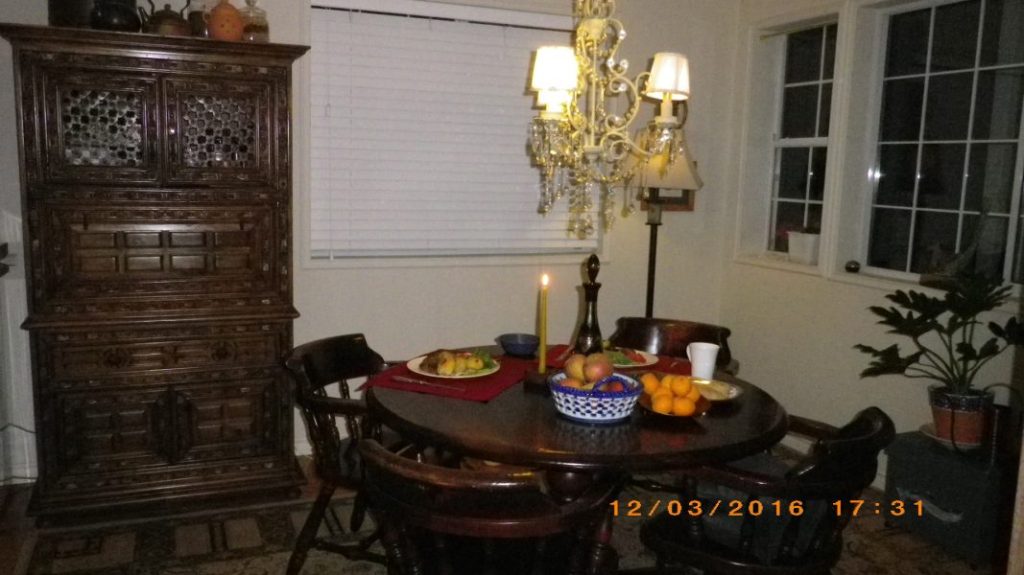 病み上がりの大ハッスル＋犬の柵　６