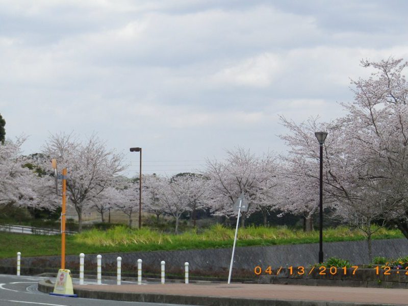 医学的に見た発達障害とは２