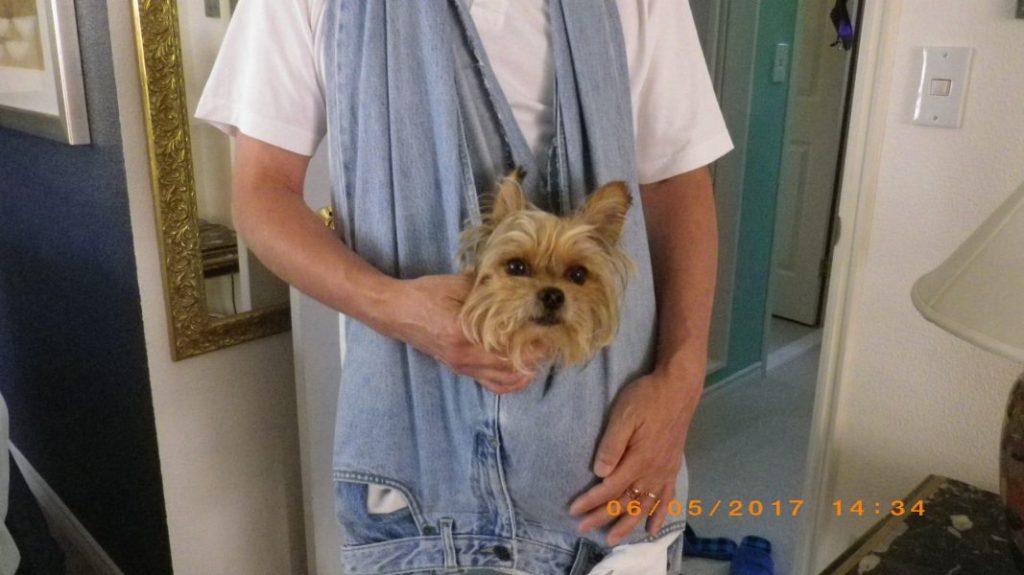 左のひさしの追加