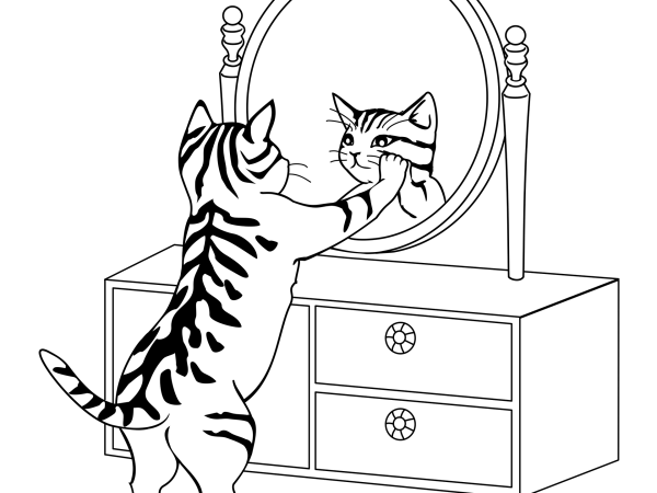 マインドを獲得する境目