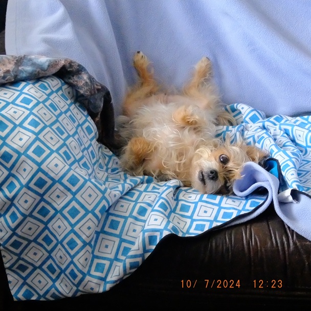 お風呂に入った訳は？