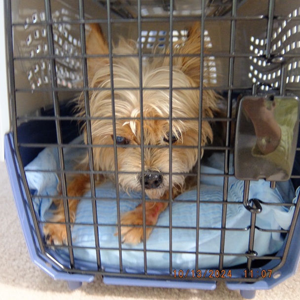 やっぱり　たそがれ