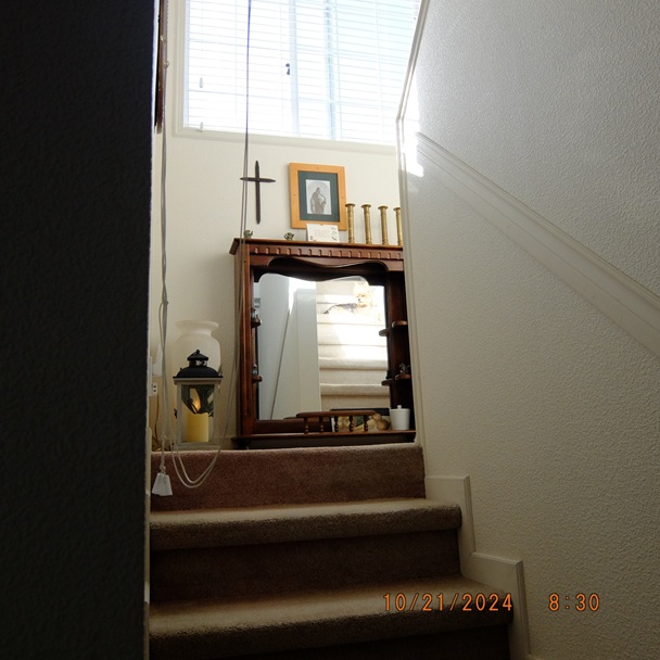 知ってる様で知らない日本