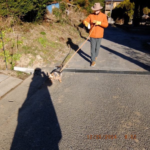 ASD自閉症のデマ