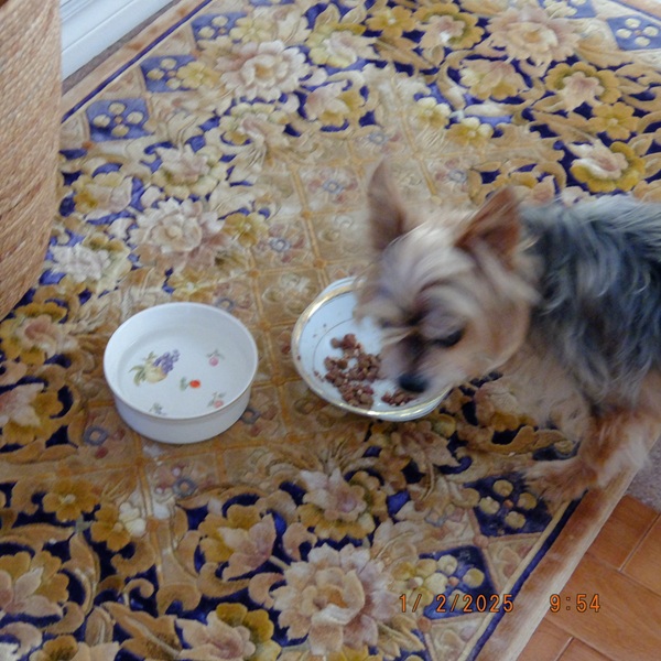 年が明けましておめでとう